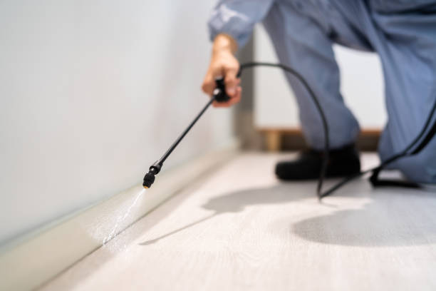 Licensed Pest Control service in Callender, CA - Show Me Pest Control