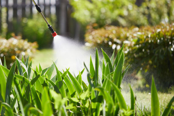 24/7 Emergency Wasp Removal experts in Callender, CA