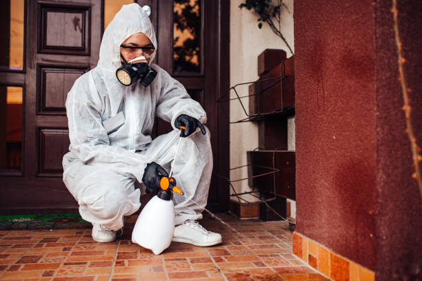 Reliable Wasp Removal contractor in Callender, CA by Show Me Pest Control
